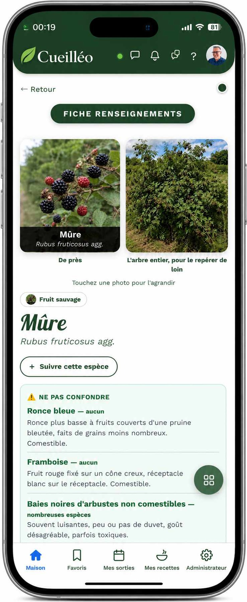 Fiche espèce